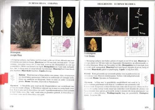 GRASSE VAN SUID-AFRIKA,GIDS TOT----FRITS VAN OUDTSHOORN