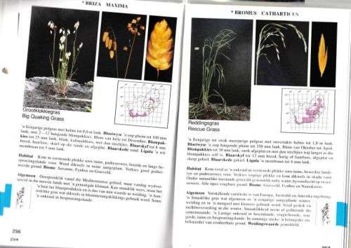 GRASSE VAN SUID-AFRIKA,GIDS TOT----FRITS VAN OUDTSHOORN