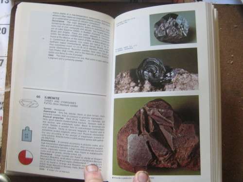ROCKS AND MINERALS,THE MACDONALD NCYCLOPEDIA OF
