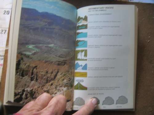 ROCKS AND MINERALS,THE MACDONALD NCYCLOPEDIA OF