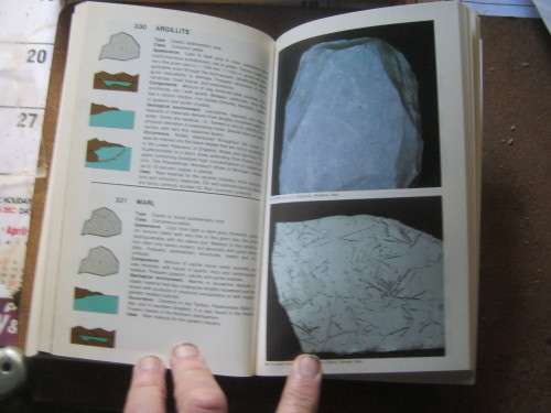 ROCKS AND MINERALS,THE MACDONALD NCYCLOPEDIA OF