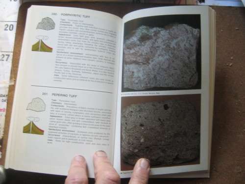 ROCKS AND MINERALS,THE MACDONALD NCYCLOPEDIA OF
