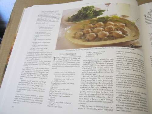 SOUTH AFRICAN COOKBOOK---READER'S DIGEST
