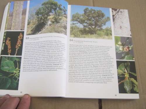 TREES OF THE KRUGER NATIONAL PARK, FIELD GUIDE---PIET VAN WYK