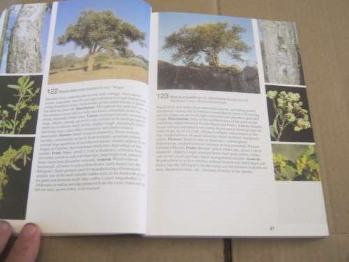 TREES OF THE KRUGER NATIONAL PARK, FIELD GUIDE---PIET VAN WYK