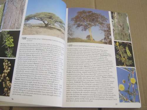 TREES OF THE KRUGER NATIONAL PARK, FIELD GUIDE---PIET VAN WYK