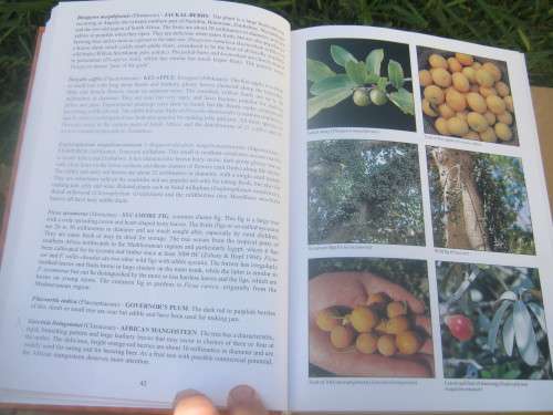 PEOPLE`S PLANTS--BEN-ERIK VAN WYK/NIGEL GERICKE