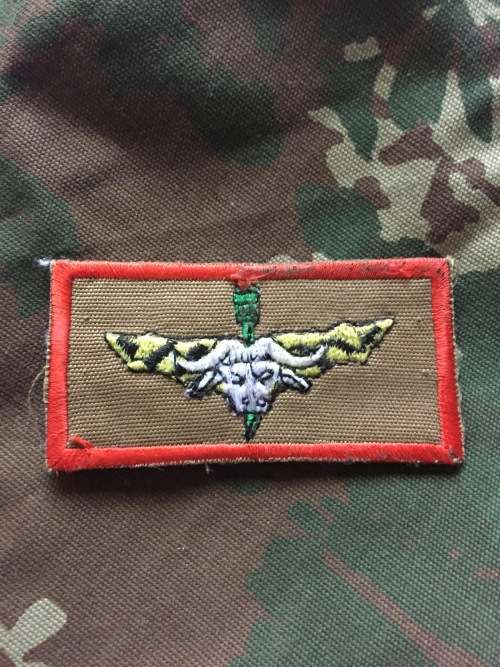 32 Battalion recce wing