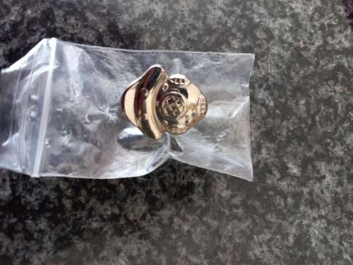 SA Navy divers badge silver Harbour divers .