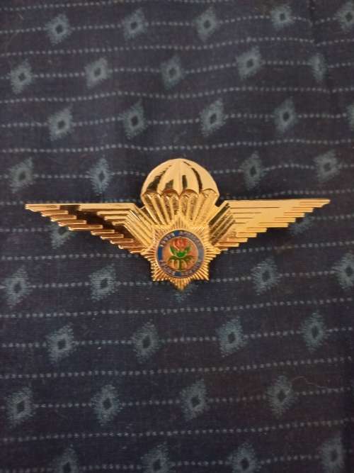 Special Tasks Force parachute wings