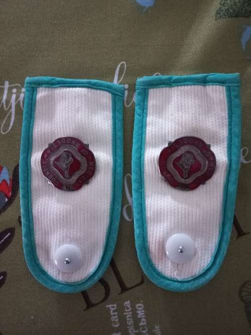 Rhodesian/ Rhodesia Medical Council of Rhodesia epelets matron.