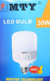 LED 30W E27 Light Bulb (Outdoor & Garden)