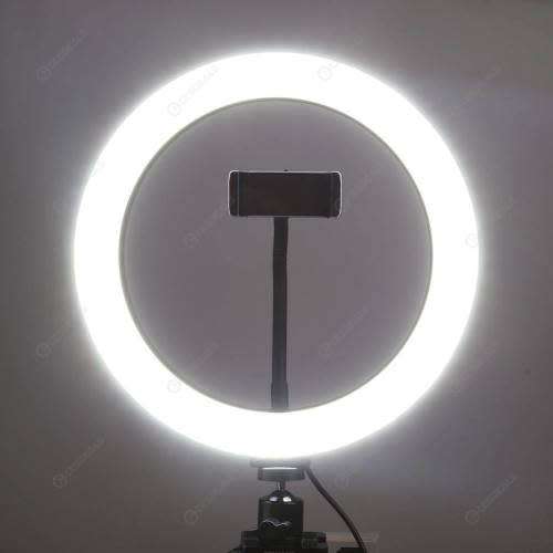 10 Inch LED Ring Light Dimmable Desktop Selfie Light Tripod Stand for YouTube Tiktok Video Live Stre