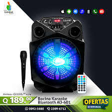 PROFESSIONAL SPEAKER SYSTEM WITH MIC AO-601