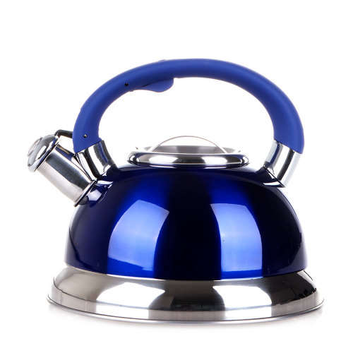 Condere 3 Litre Whistling Kettle