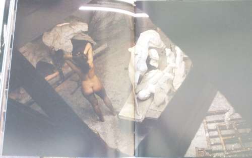 Forces of Nature (signed by the artist) Book