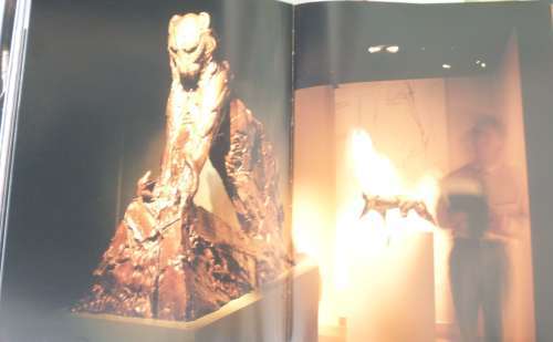 Forces of Nature (signed by the artist) Book