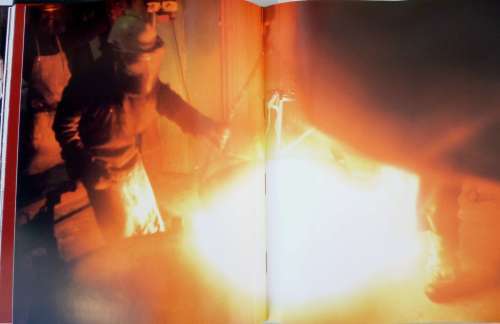 Forces of Nature (signed by the artist) Book