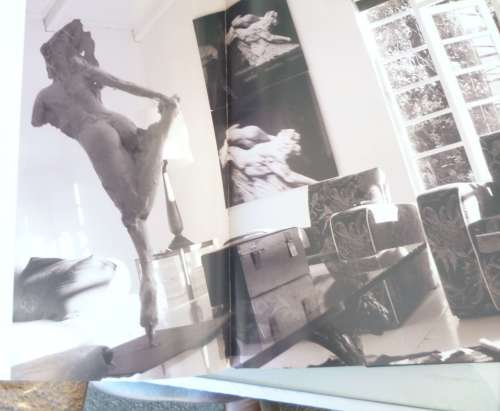 Forces of Nature (signed by the artist) Book