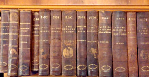 Set : Leather-Bound Books (1880-1910)