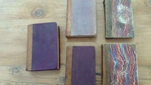 Set : Leather-Bound Books (1880-1910)