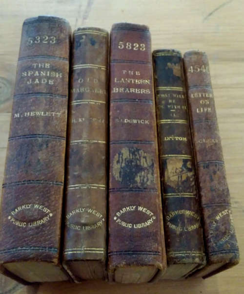 Set : Leather-Bound Books (1880-1910)