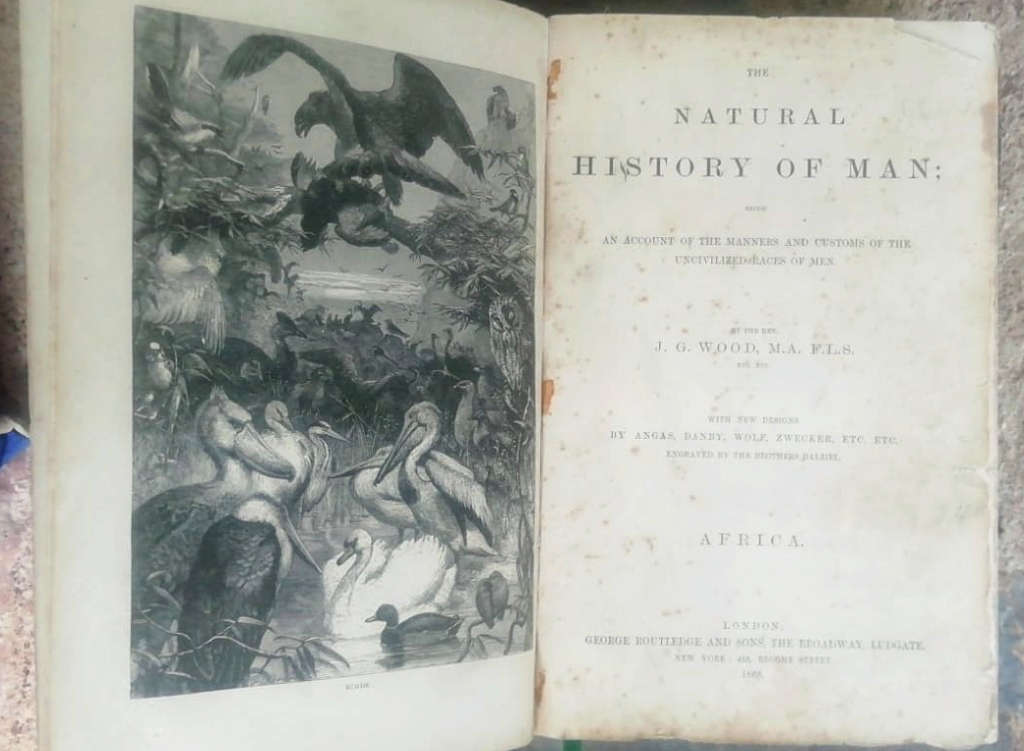 THE NATURAL HISTORY OF MAN : AFRICA (1868)