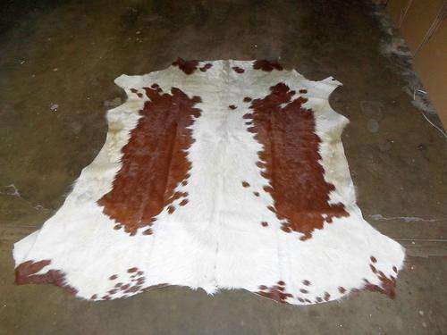 A grade brown and white Nguni skin