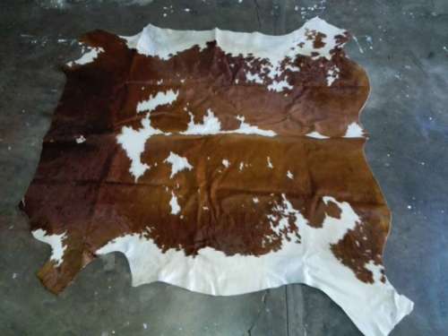 A grade brown and white Nguni skin