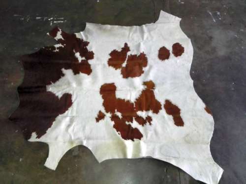 A grade brown and white Nguni skin