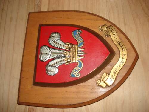 Rugby Shield - Wales