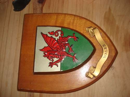 Wales Rugby shield