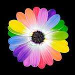 Glass Beads & Findings