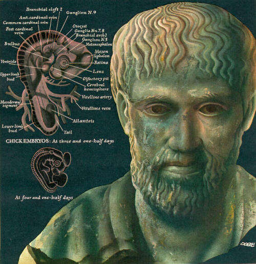 Aristotle E-book ~ The Works of Aristotle