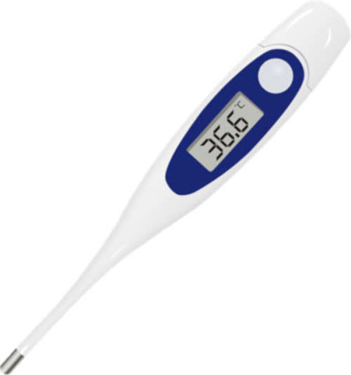 Personal Clinic Electronic Thermometer