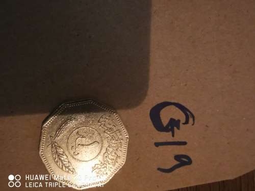 MIDDLE EAST COIN AS PER PICTURE