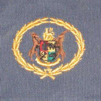 Pre-1994 SAP Warrant Officer Sleeves, Blue/Grey - Brand New