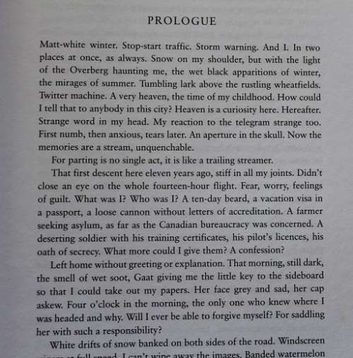 Agaat by Marlene van Niekerk