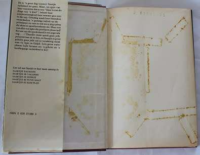 Saartjie se geheim deur Bettie Naudé