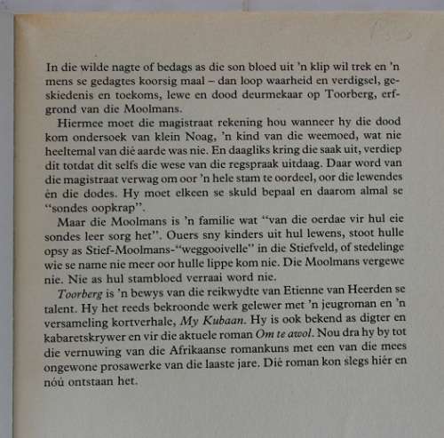 Toorberg deur Etienne van Heerden