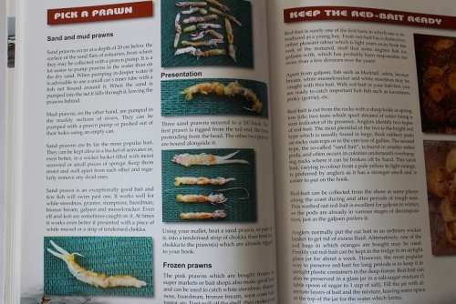 The bait on my hook and other secrets by Nickie Louwrens