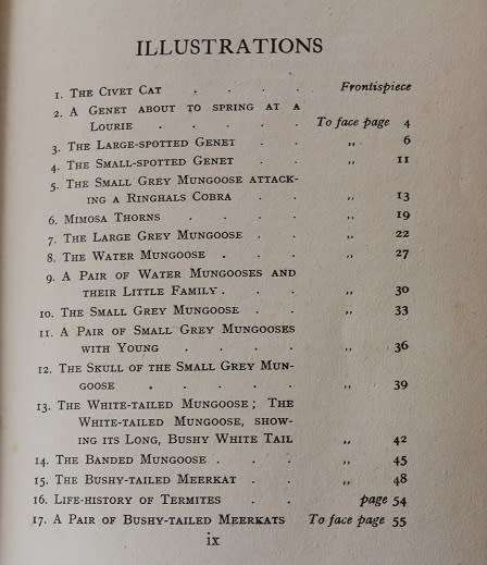 The Natural History of South Africa by F.W. Fitzsimons. Mammals vol. 2