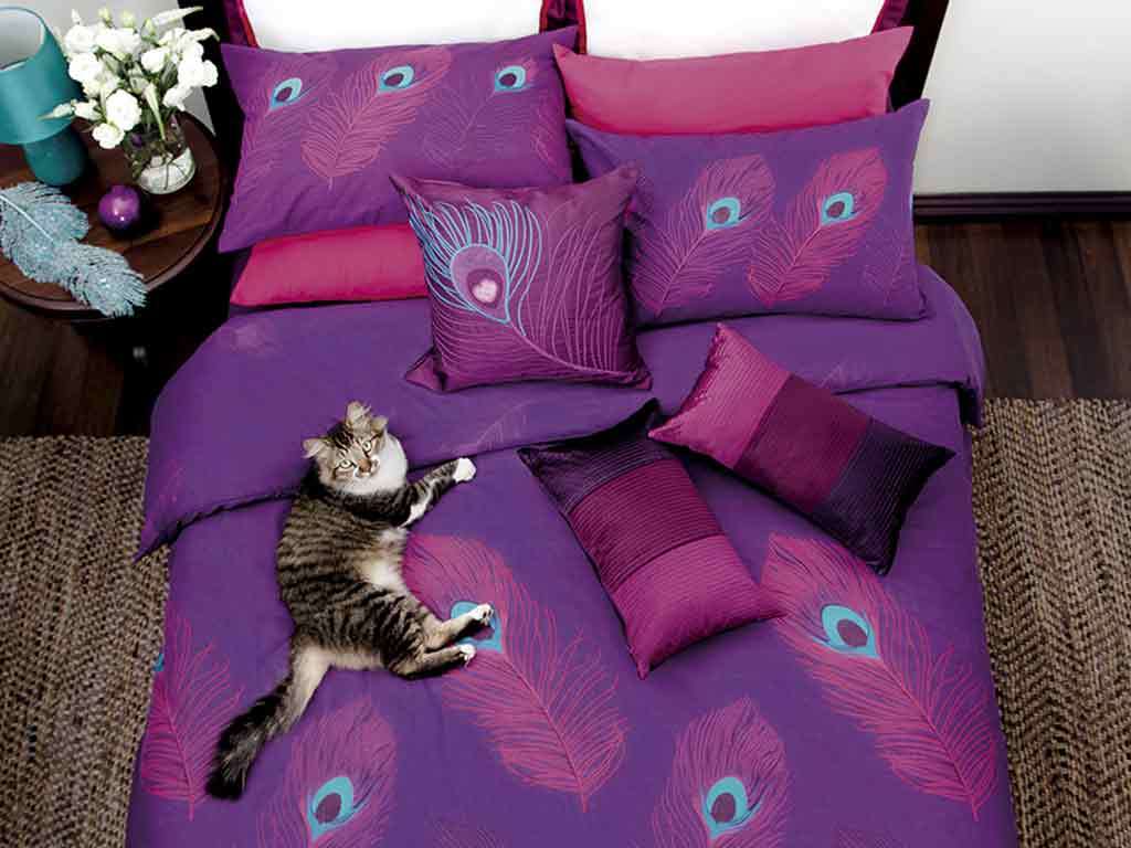 LATE ENTRY:Peacock Duvet Set (Double Bed)
