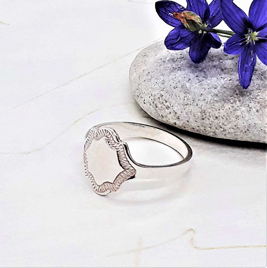 Shield Signet Sterling Silver Ring