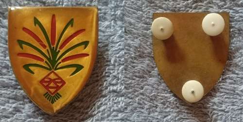 SADF 202 battalion SWA pocket flash