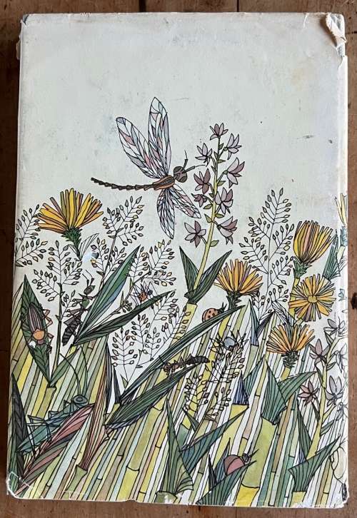 Klein Maja en haar avonture