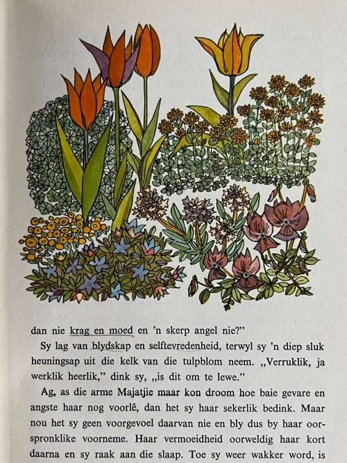 Klein Maja en haar avonture