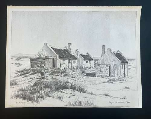 South African Art Prints