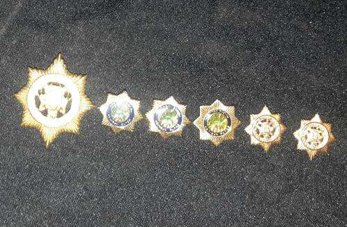 SAPS Badges