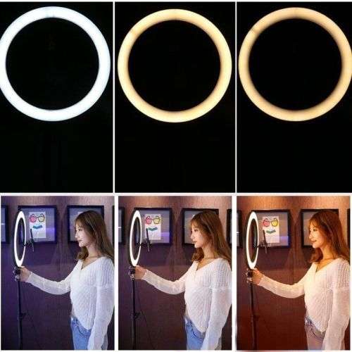 10" Ring/Fill Light With Phone Clip - 26cm - Intelligent Control - 3 Color Modes